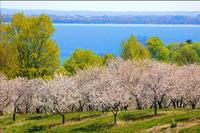 Traverse City Environs